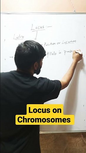 Locus (Position of Gene on Chromosome)