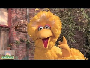Big Bird- Afroman- Because I got High