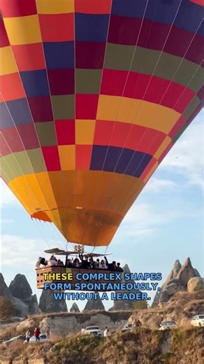 Ever witnessed nature's breathtaking aerial ballet