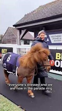 Come to Plumpton Race Course with Duble & Calvados to race in the Shetland Pony Grand National.