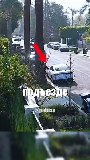 Очень смелая уроженка Дагестана дала отпор грабителям @patiisa