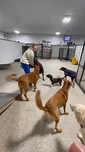 wild crew 12/13 | K9 Country Club