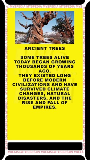 Facts That Explain How the World Really Works | MysPedia