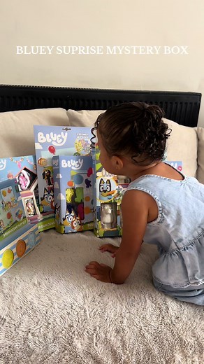 Bluey Surprise Mystery Box: Engaging Toddler Fun