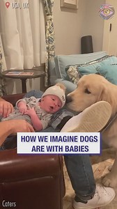 213K views · 2.1K reactions | They're barely arrived, yet already grabbing everyone's attention  | Bright Side Fun | Facebook