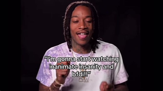 Inanimate Insanity and BFDI Observations