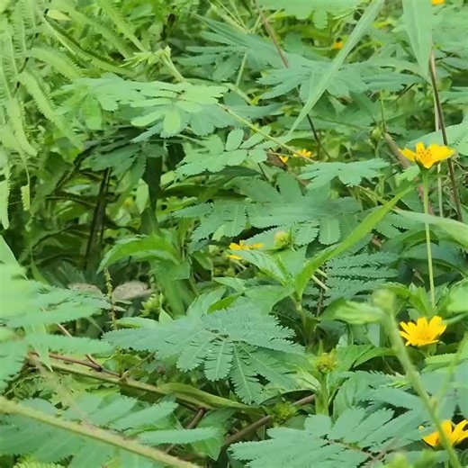 1K views | the pain of difficult labor what will the baby''s birth day be like 001 | Single Mom | Facebook