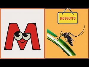 ABC Insects Song Video from A to Z| Fun Alphabet Learning with Bugs | Phonics & Insect |#abcd #kids