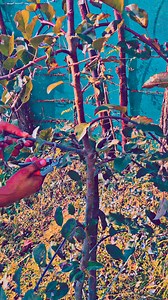 15K views · 135 reactions | A small mistake, unless we correct it in time, will one day become a disaster. Ganie amir refrance #follower #highlightseveryonefollowers2025シ゚viralfbreelsfypシ゚viral #highlight # | Amir Rashid Ganie | Facebook