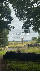 29K views · 280 reactions | On the outskirts of the city lies Cammo Local Nature Reserve, a serene woodland full of history and wildlife. Explore with a wander through the park as it surrounds you with flora and fauna, keep your eyes peeled for one of the oldest (& wisest) ash trees in the city - with a trunk that's 1.5m wide!  | Visit Edinburgh | Facebook