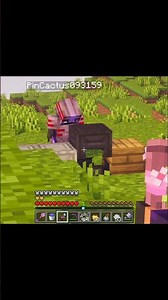 Minecraft every Smp player's