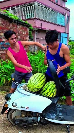 Watermelon 🍉 - Task