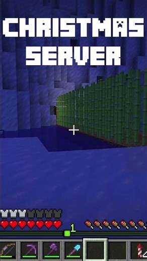 Will this work? #minecraft #christmas #theactualseth