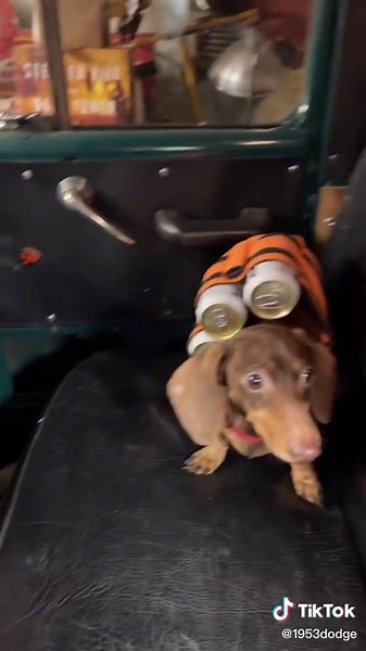 #stitch with @xosoren #dpcd #kate #noschoollikeoldschool #flatheadsbetterthannohead