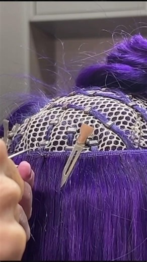 Mesh integration system