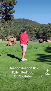 Follow Fully Tilted Pod on Instagram: https://www.instagram.com/fullytiltedpod?igsh=MWF4bGc3aXdlZHJuOA== | Bob Menery