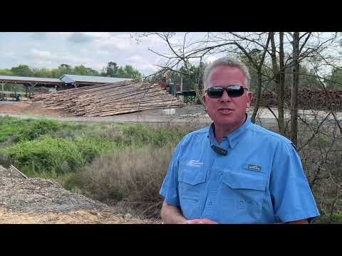 About the Product: Pasture Management Wood Posts for Fence Building