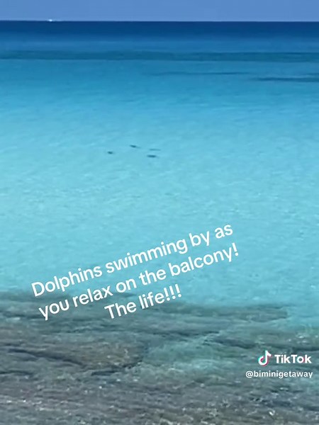 It's the front row seat to the dolphins swimming by for me! #biminibliss #vrbo#airbnb #watersoblue #beachlife #biminibahamas #vacation