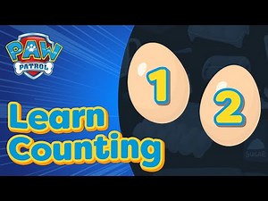 Learn How To Count with PAW Patrol | Learning Videos for Toddlers!