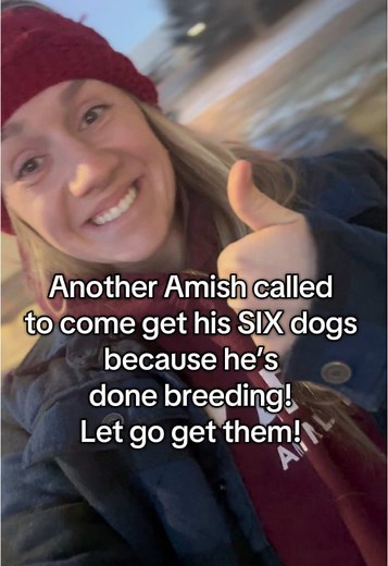 Rescue Efforts for Amish Breeder Dogs in Crisis