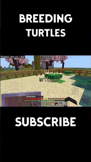 Breeding turtles | How to breed turtles | Turtles | Minecraft
