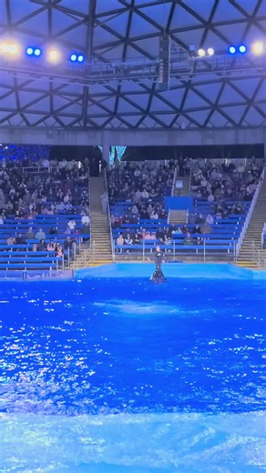 Tortured Killer Whale Revolts!