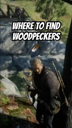 How to find Woodpeckers #rdr2