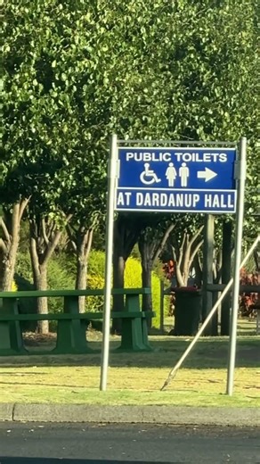 The Long-Awaited Toilet#finally