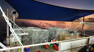 36K views · 810 reactions | Another cracker day in the Timor Sea TimeZero Navigation Software Electronic Navigation Ltd (ENL) Mermaid Shoal Stormline IQ Lighting Australia Austral Fisheries Skull Island Tiger Prawns | Tk Offshore Fishing | Facebook