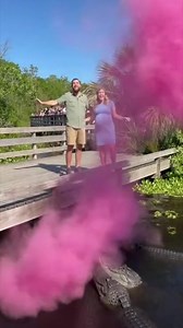 Alligator Gender Reveal Excitement A couple's unique gender reveal with alligators and pink smoke! #fblifestyle #AI Generated using Kling AI . . . (For entertainment purposes only. Consult professionals if guidance on activities is presented. No brand affiliation is implied if any are shown. If inspired by true events, creative adaptations may be included. Content may include public footage.) | Tips & Tricks