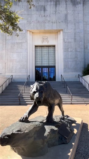 🦕 Get ready to dig deep into Texas’ fossil-filled history with the newly reimagined “Epic Encounters” exhibit at the @texassciencemuseum. This immersive showcase of almost entirely Texas-found fossils includes: 🦴 Mosasaur fossil discovered right here in Austin 🐾 Large-scale animations bringing extinct species back to life in stunning detail 👋 Interactive stations for little ones to touch, learn, and explore 🕹️ Texas-themed “Choose your own adventure” game 🔨 Fossil displays from Texas-sized