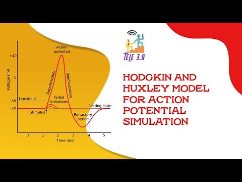 Hodgkin and Huxley model for Action Potential Simulation