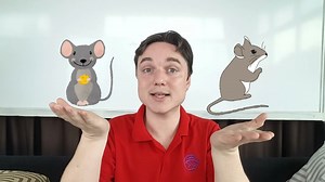 Comparison of adjectives with as... as/‌not as... as | ESL Worksheets