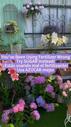 Plant Identifier App | Your Plant Guide on Instagram: "You’ve probably been using fertilizer the wrong way… But here’s a secret most plant parents don’t know: a tiny pinch of sugar can actually help your soil microbes work better. Sugar isn’t a fertilizer, but it can support healthy soil activity when used correctly. Just sprinkle a very small amount around the base and water it in. It helps feed beneficial microbes → which helps your plant absorb nutrients more effectively. Want to know what YO