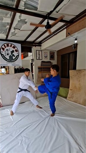 Practical Aikido Techniques against Kicking & Pinching (Geri & Jodan) #aikidotraining #selfdefense