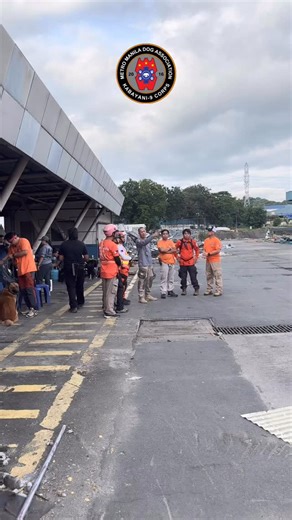 Simulated urban disaster zones sharpen our canine search teams’ instincts, endurance, and precision, ensuring they’re mission-ready when lives depend on it. Huge thanks to Muntinlupa K9 SAR for welcoming us to train alongside your team in this challenging environment. | MMDA K-9 Corps