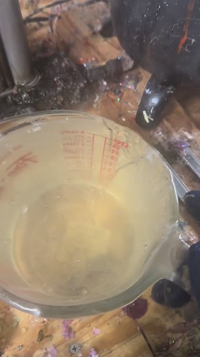 Mixing up that plastic 4 cups at a time! jakeslurejoint.com #jakeslurejoint #fishing #bassfishing #fishinglures #fishinglure #fishingaddict #bassfishinglures #fishinglife #bassfishingismylife #bass #fishingbait #fishingbaits #plastic #plastisol #softplastic #softplastics #softplasticbaits #mixing #mixitup #colorant #baitmaking #glitter #customized #custombait #custombaits #customlure #customlures #lure #bait #luremaking | Jake's lure Joint