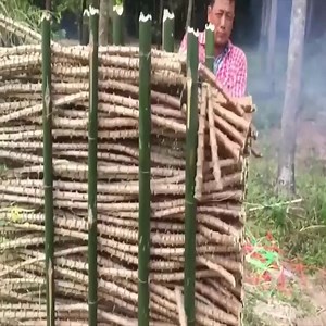 62K views · 26 reactions | Amazing primitive farming equipment, rice harvest, corn harvest, sugar harvest | Apple | Facebook