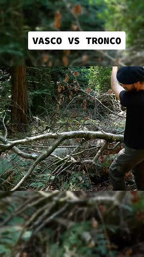 Probando una hacha vasca de competición #hacha #jauregi #hachavasca #basquecraft #hachazo