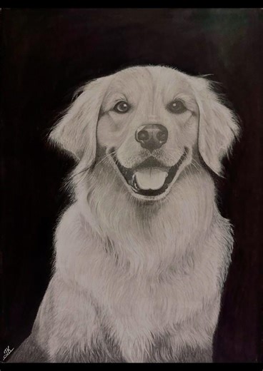 Realistic Animal Portrait#art#drawing#pencildrawing#charcoal#graphite#realism#tutorial#shorts#viral