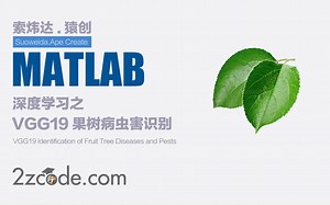 深度学习之基于Matlab卷积神经网络：VGG19果树病虫害识别