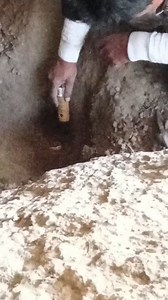 7.5K views · 61 reactions | Detecting Pinpointer Object #metaldetecting #pinpointerdetecting #objectdetectingpinpointer | Gold Field Hunting | Facebook