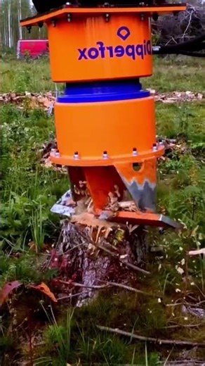 #fypシ #viralvideo #shorts #youtube #youtubeshorts