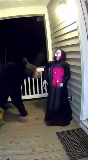 Bear vs. The "Disco" Alien: He Wasn't Ready for the Light Show! 👽🚨