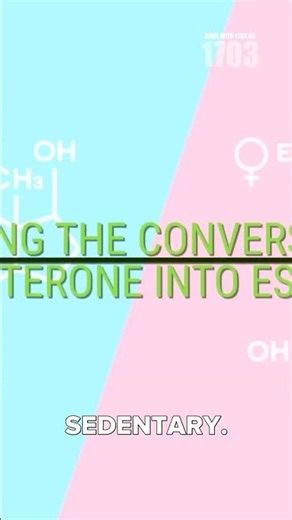The Science of Testosterone: What Every Man Should Know