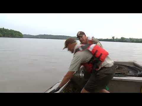 Hoop Net Cleat Assisted Removal