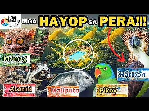 Kilalanin ang mga HAYOP SA PERA ng Pilipinas | Exotic Animals in Philippine Paper Bill