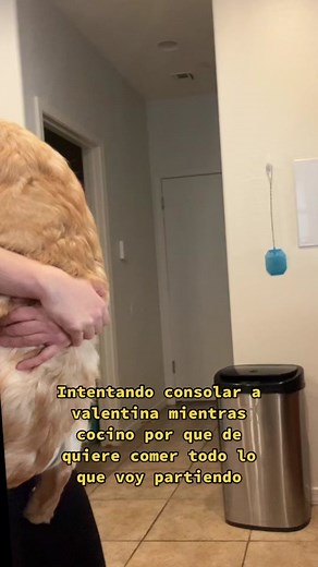 Cuddly Dog Comforts Owner in Heartwarming Moment