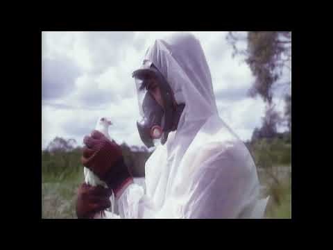 Radio Free Alice - "Rule 31" (Official Visualiser)