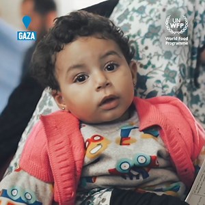 1.4M views · 73K reactions | Your donation to the United Nations World Food Programme will help provide life-saving food parcels to families in Gaza facing horrific levels of hunger. | World Food Programme | Facebook